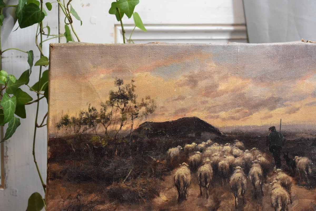 Back To The Sheepfold, France End Of XIXth Century, Oil On Canvas-photo-4