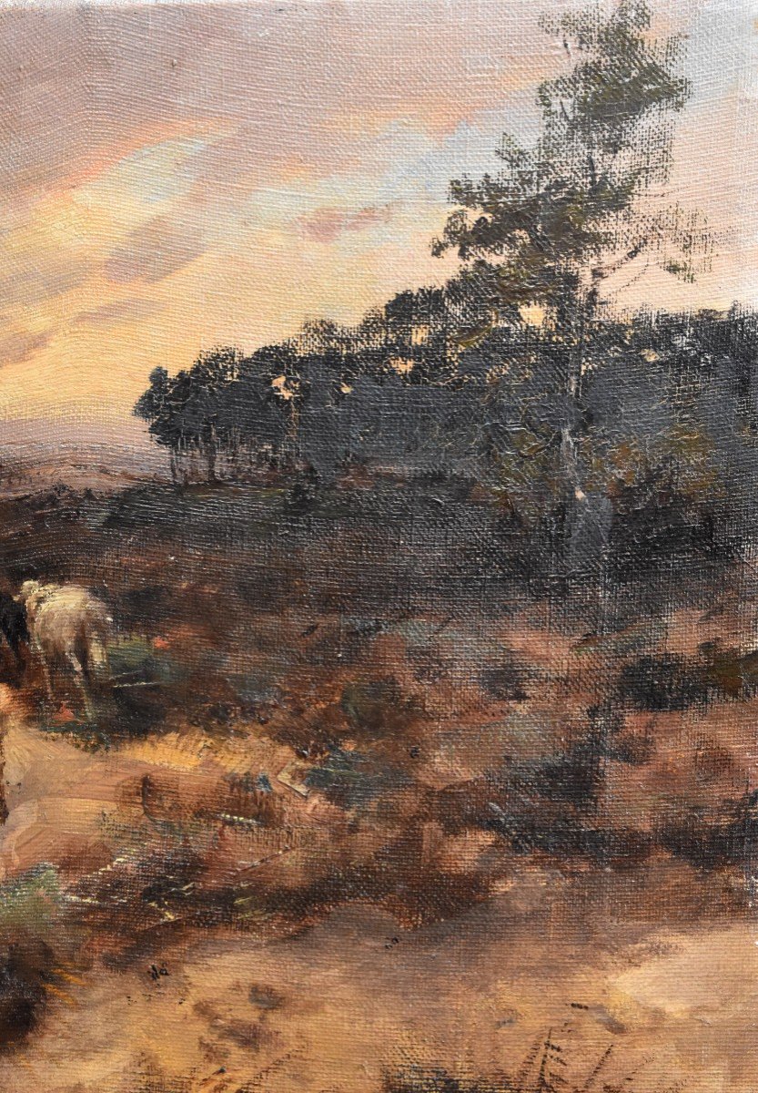 Back To The Sheepfold, France End Of XIXth Century, Oil On Canvas-photo-6