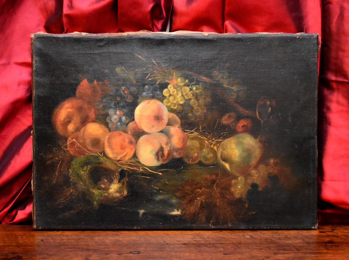 Still Life With Nest And Fruits, Oil On Canvas,  XIXth Century-photo-2