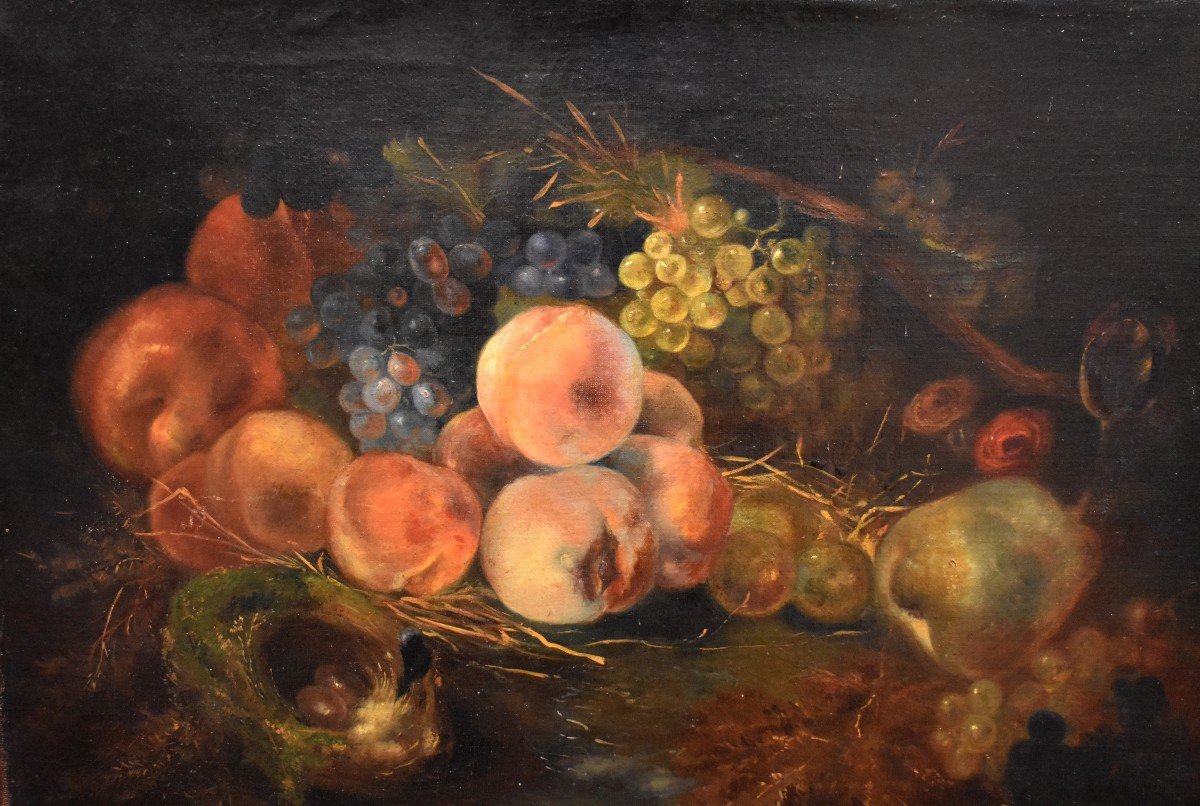 Still Life With Nest And Fruits, Oil On Canvas,  XIXth Century-photo-3