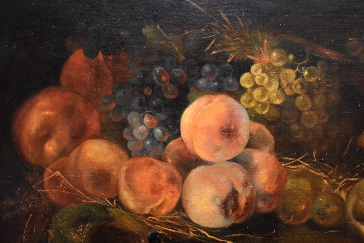 Still Life With Nest And Fruits, Oil On Canvas,  XIXth Century-photo-4