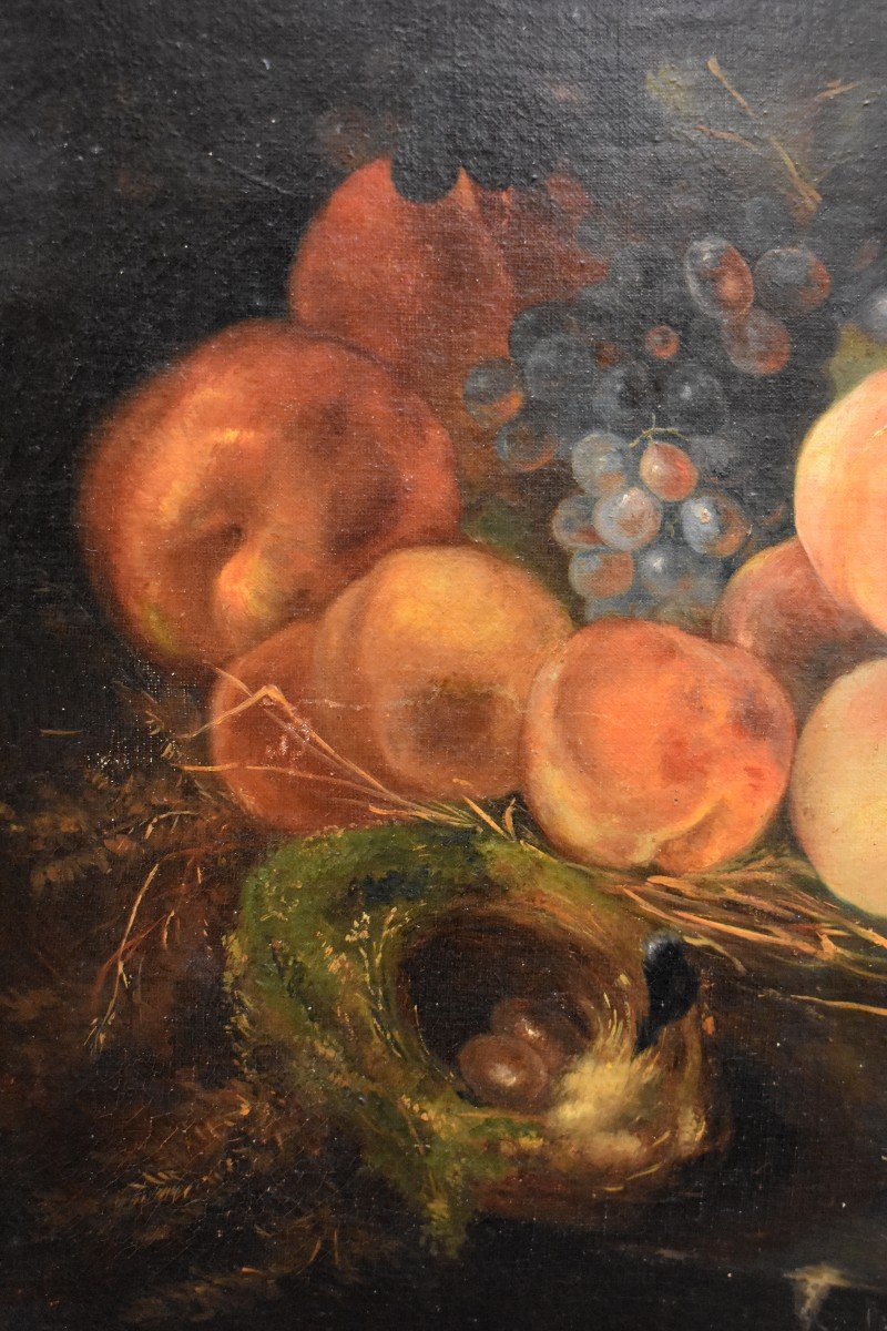 Still Life With Nest And Fruits, Oil On Canvas,  XIXth Century-photo-1