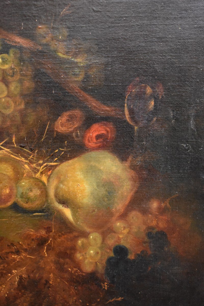 Still Life With Nest And Fruits, Oil On Canvas,  XIXth Century-photo-2