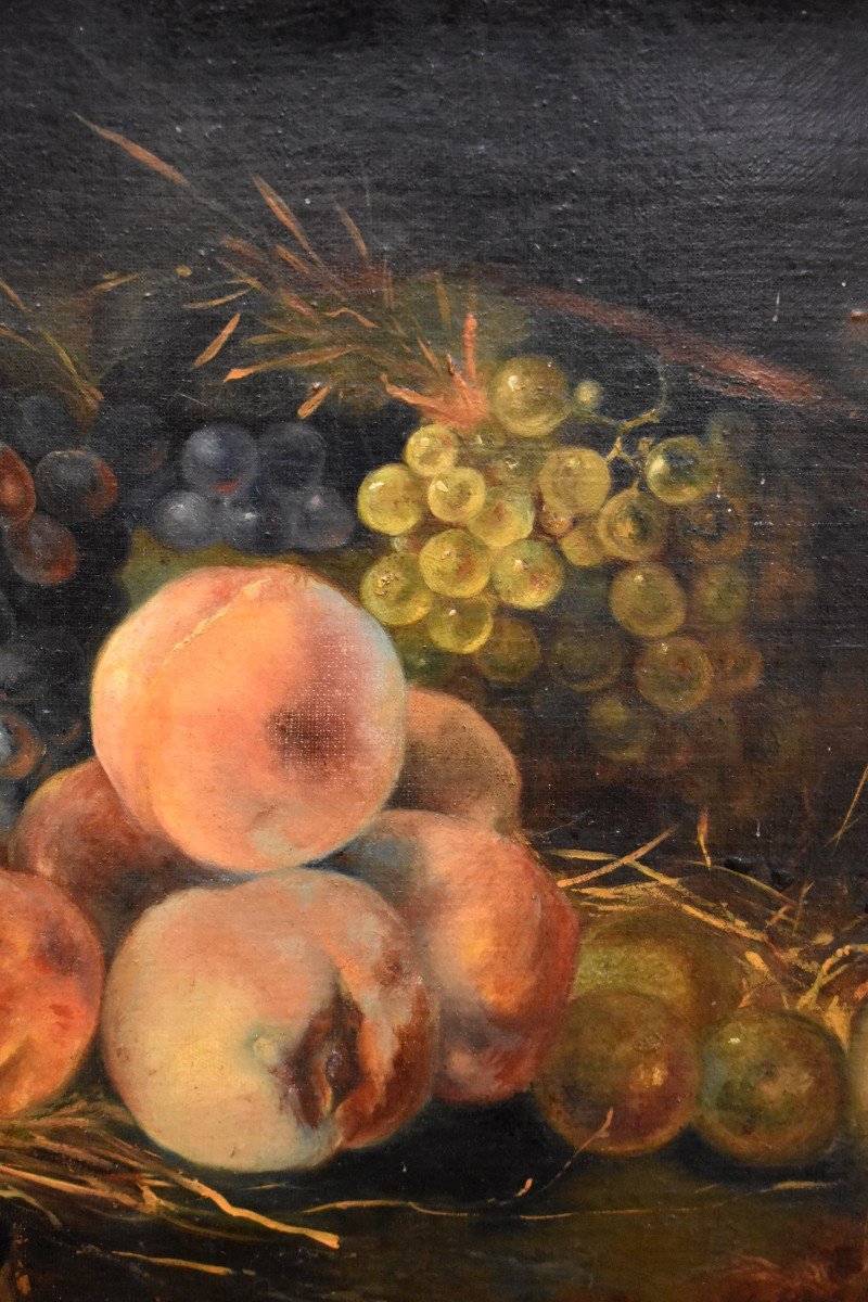 Still Life With Nest And Fruits, Oil On Canvas,  XIXth Century-photo-3