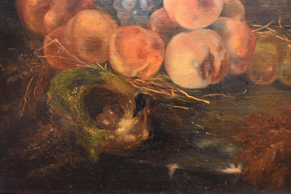 Still Life With Nest And Fruits, Oil On Canvas,  XIXth Century-photo-4