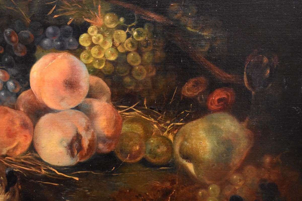 Still Life With Nest And Fruits, Oil On Canvas,  XIXth Century-photo-5