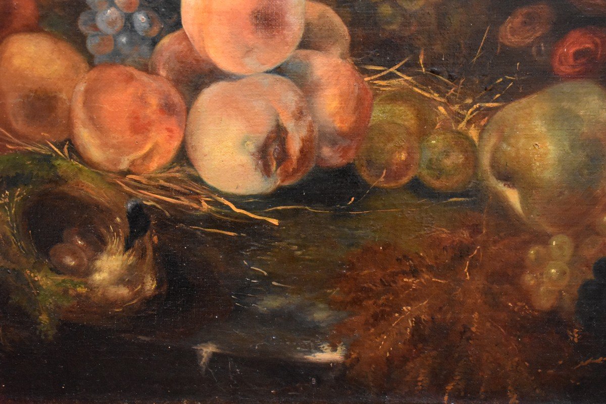 Still Life With Nest And Fruits, Oil On Canvas,  XIXth Century-photo-6