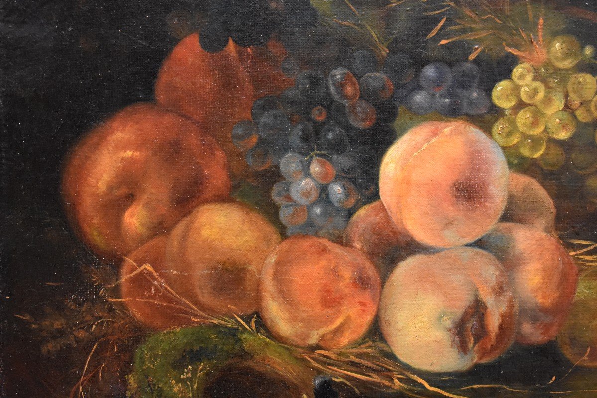 Still Life With Nest And Fruits, Oil On Canvas,  XIXth Century-photo-7