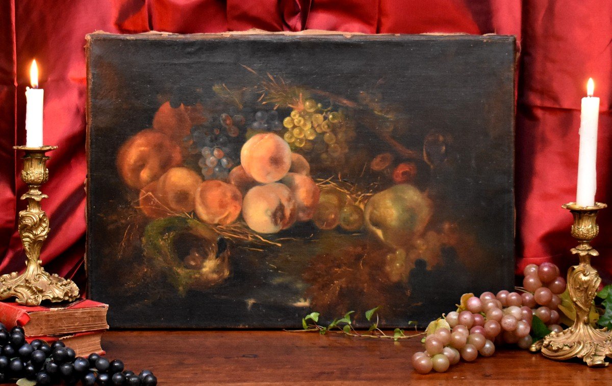 Still Life With Nest And Fruits, Oil On Canvas,  XIXth Century