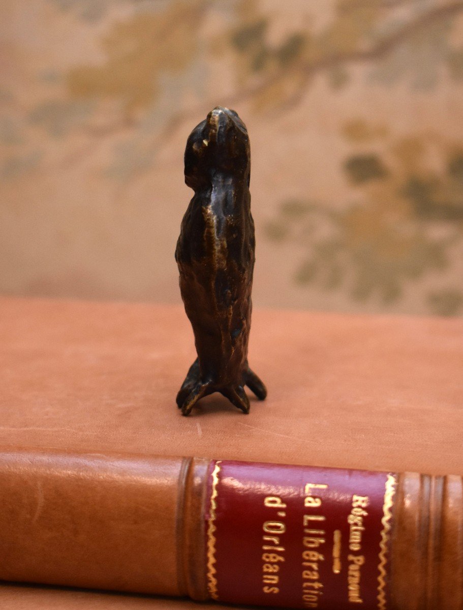 Hibou, Chouette En Bronze Doré, Fonte Moderne, XX ème-photo-4