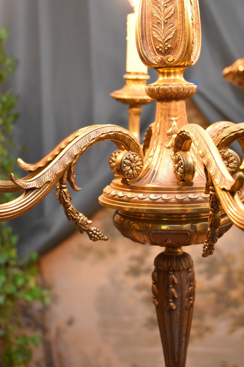 Lustre En Bronze Doré De Style Louis XVI Eclairant à Six Feux, Epoque Milieu XXème-photo-5