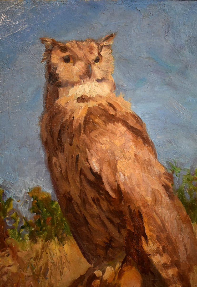 Alfred Andrieux (1879-1945), Eagle Owl, Oil On Canvas, Ornithology Theme, Early 20th Century-photo-2