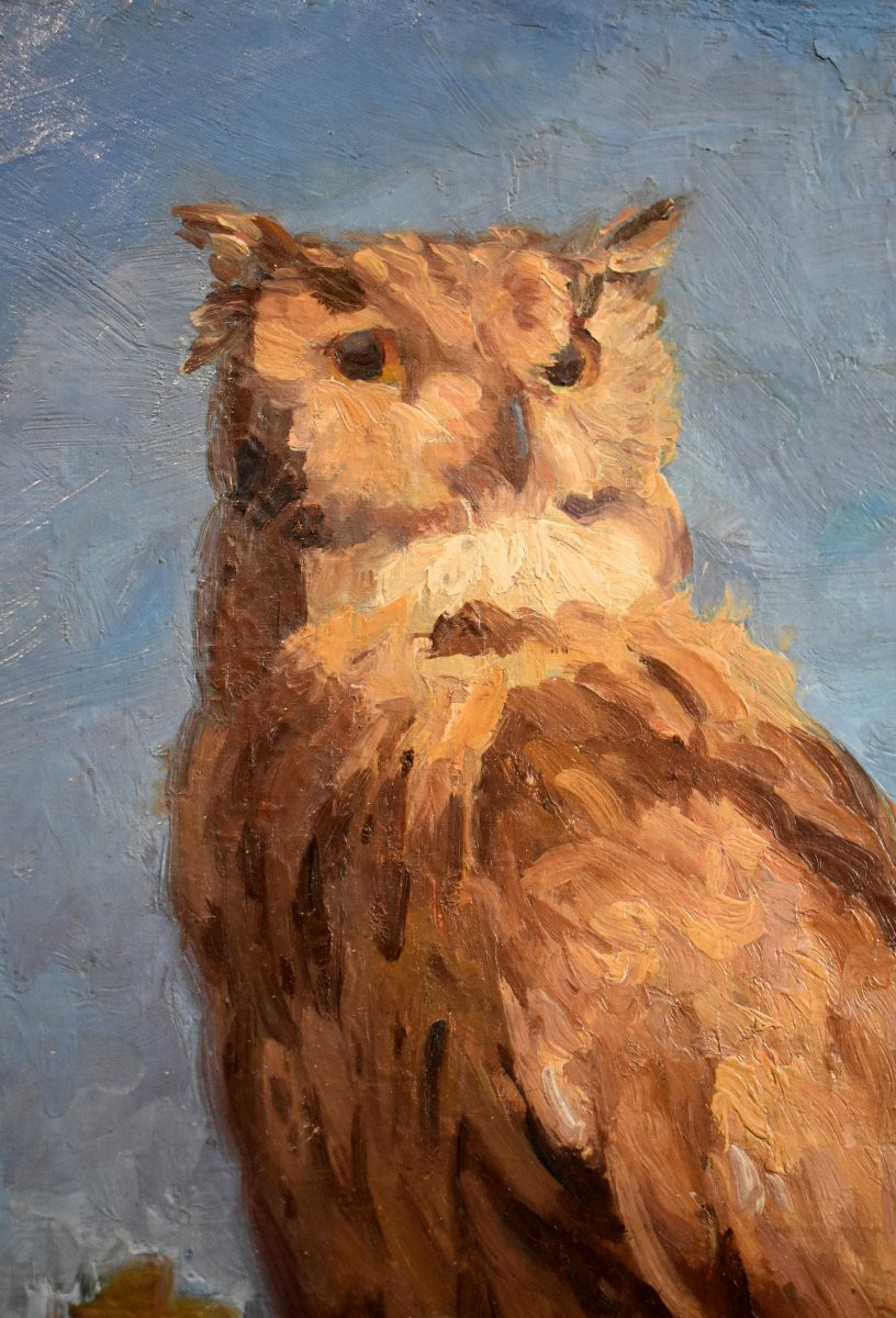 Alfred Andrieux (1879-1945), Eagle Owl, Oil On Canvas, Ornithology Theme, Early 20th Century-photo-3