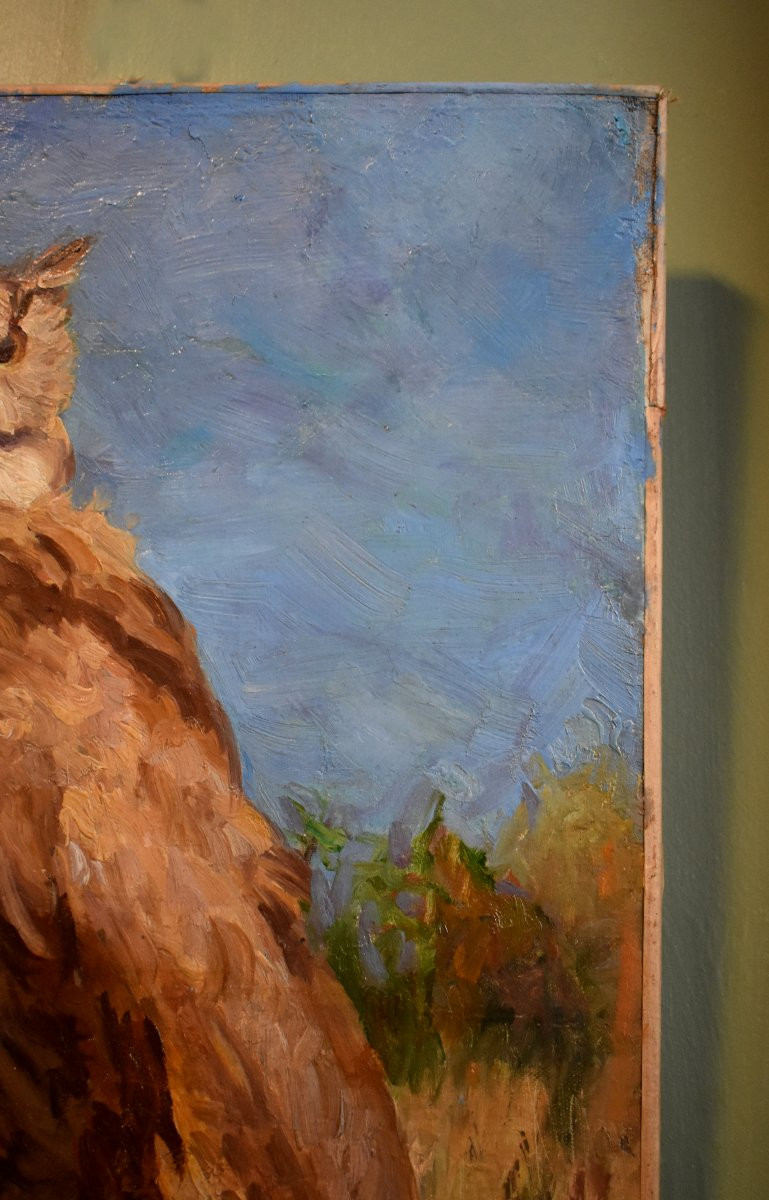 Alfred Andrieux (1879-1945), Eagle Owl, Oil On Canvas, Ornithology Theme, Early 20th Century-photo-2