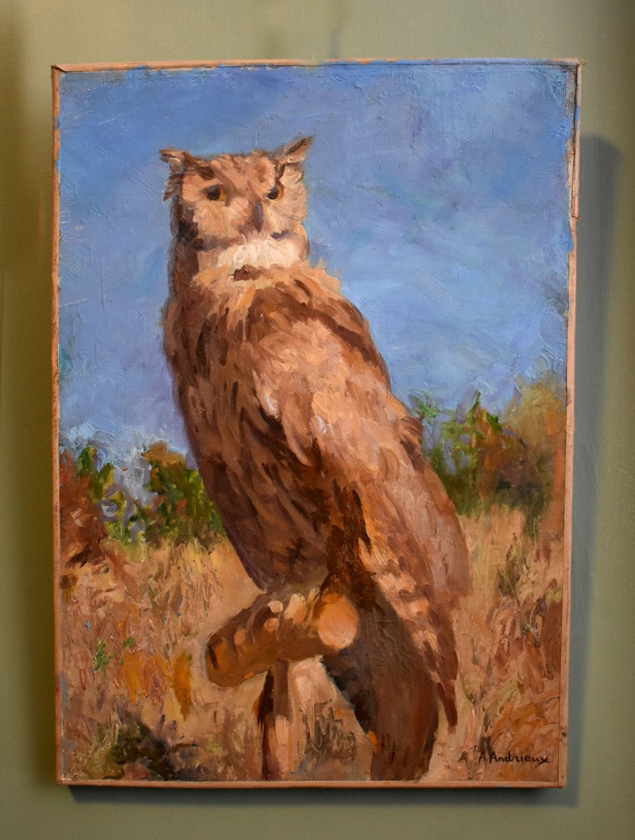 Alfred Andrieux (1879-1945), Eagle Owl, Oil On Canvas, Ornithology Theme, Early 20th Century-photo-7