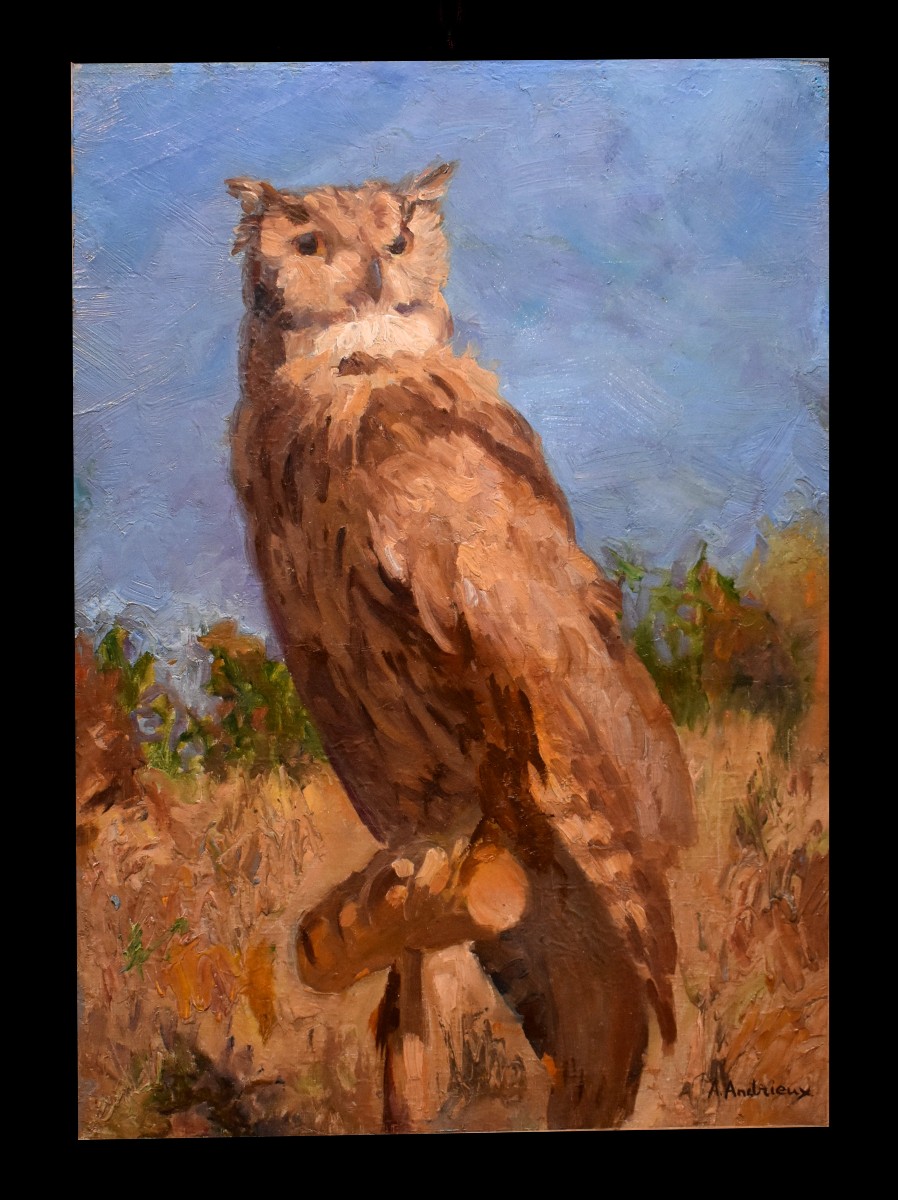 Alfred Andrieux (1879-1945), Eagle Owl, Oil On Canvas, Ornithology Theme, Early 20th Century