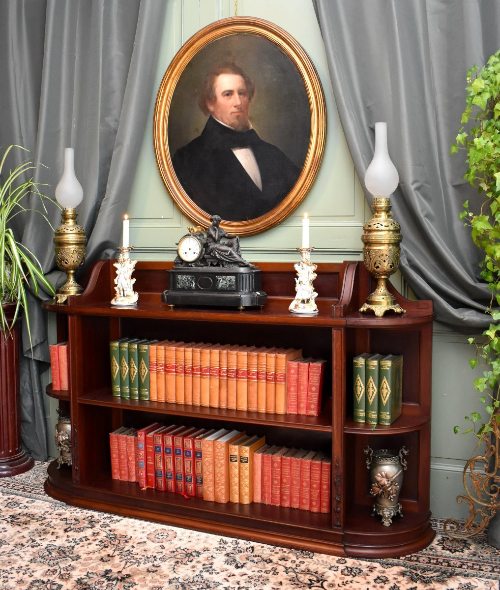 Bibus Anglaise , English Bookcase, Solid Mahogany,  19th Century-photo-3