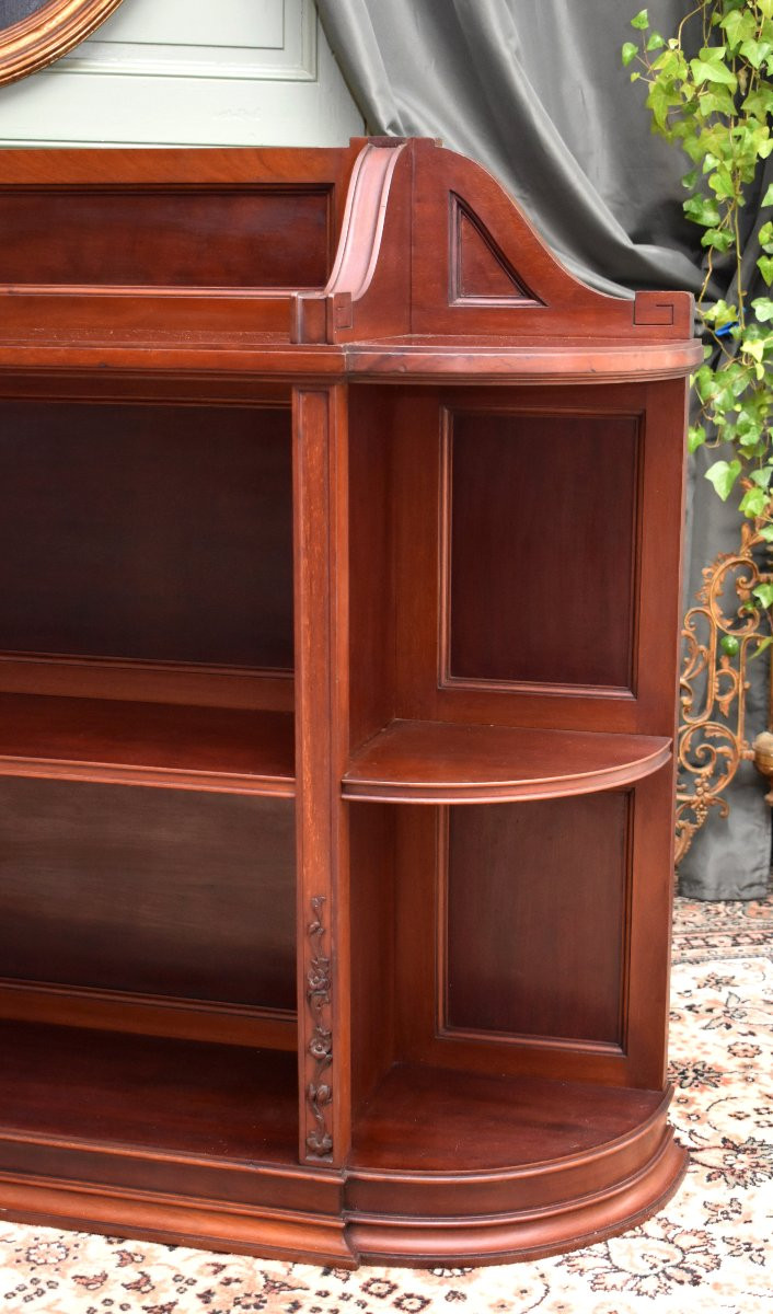 Bibus Anglaise , English Bookcase, Solid Mahogany,  19th Century-photo-4