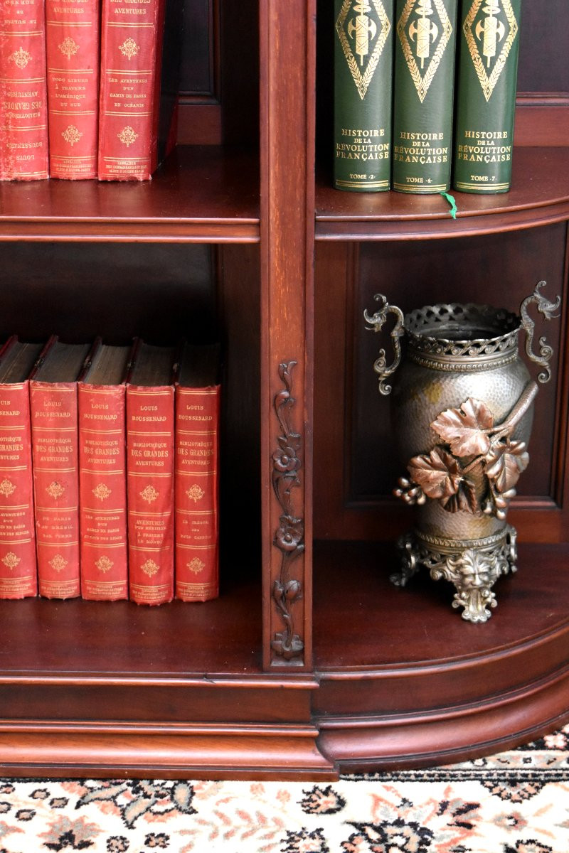 Bibus Anglaise , English Bookcase, Solid Mahogany,  19th Century-photo-5