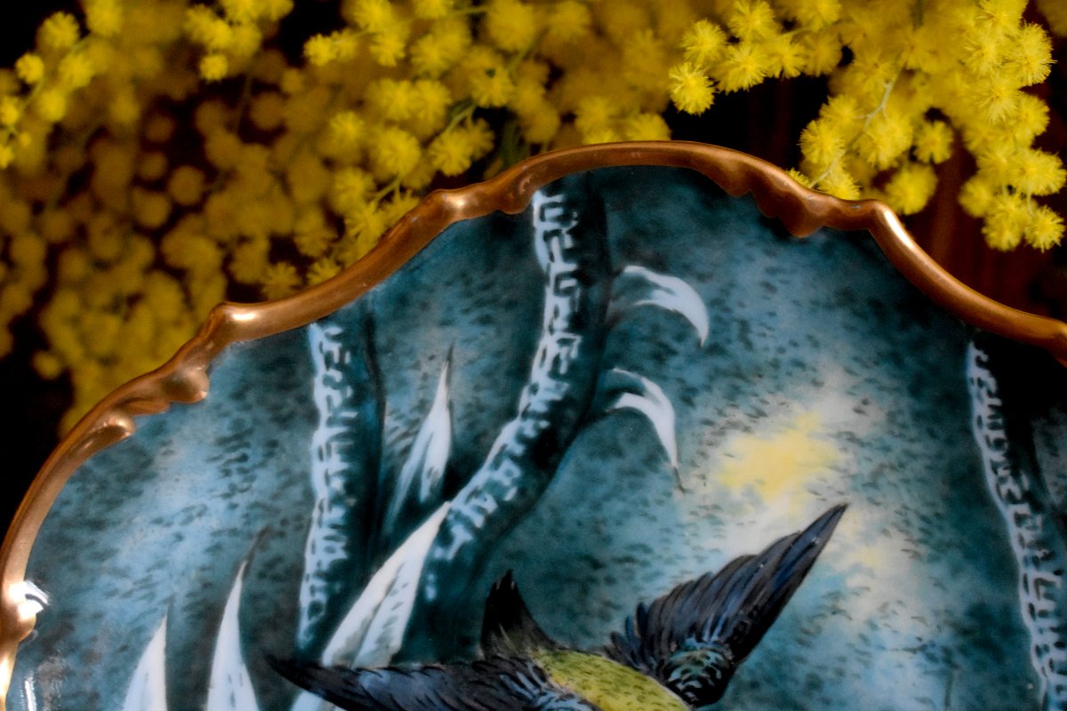 Pair Of Decorative Plates Featuring Kingfishers, Limoges Porcelain, Ateliers Pastaud-photo-2