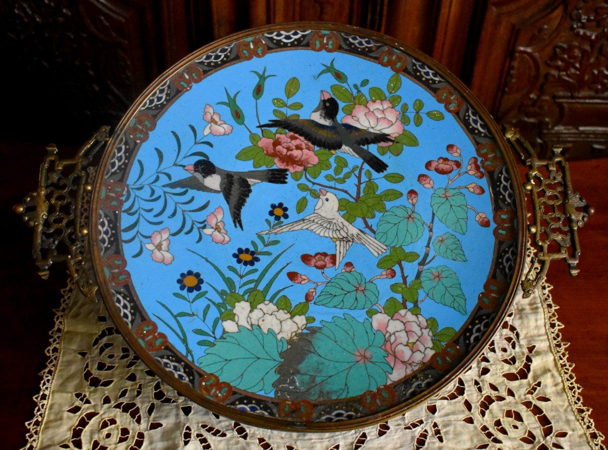 Grande Coupe En Emaux Cloisonnés, Plat en Email , Piètement  Bronze, Japon, Décor Oiseaux, Vers 1900