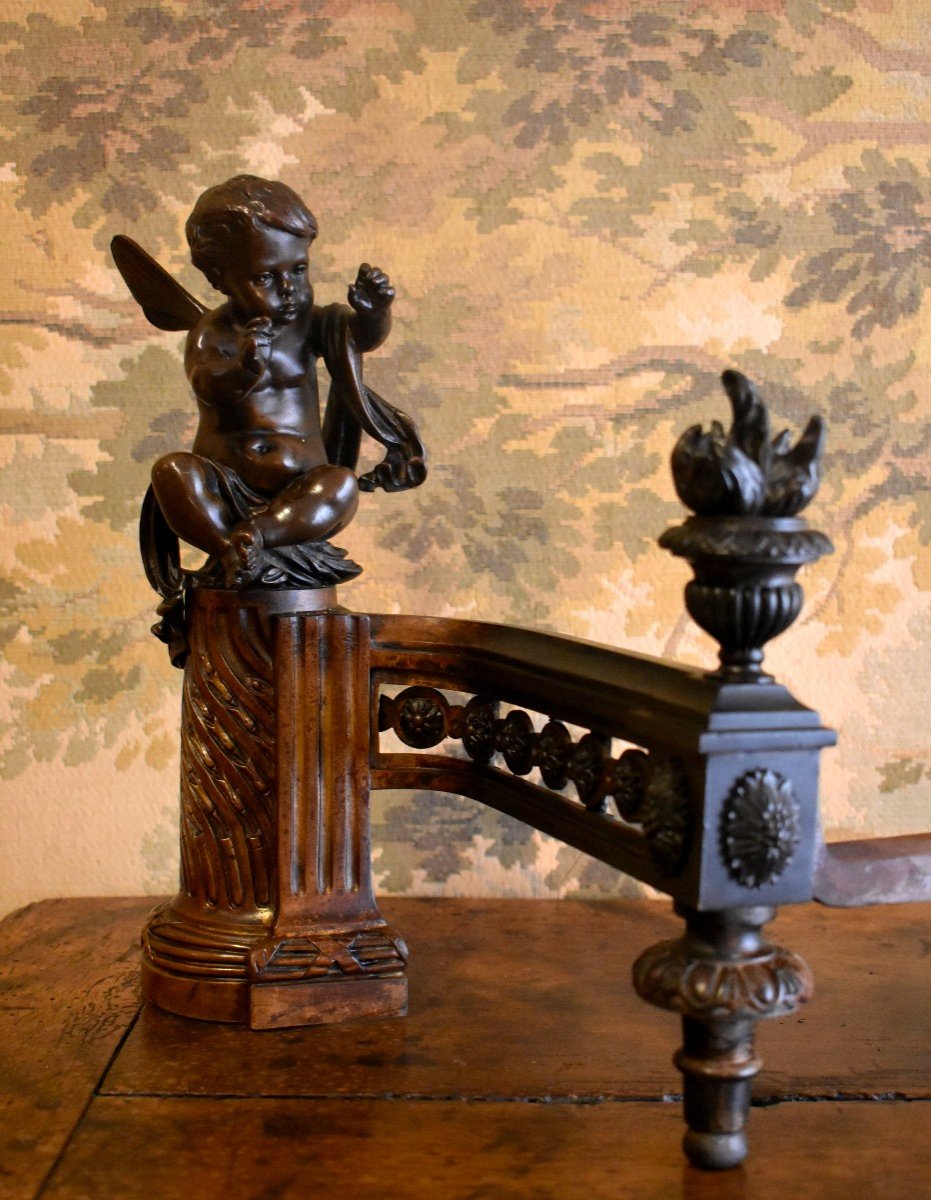 Pair Of Bronze Andirons With Double Patina, Putti Heated By The Fire, Cherubs, Cherubs, Louis XVI Style, XIXth Century, Butterfly Wings-photo-1