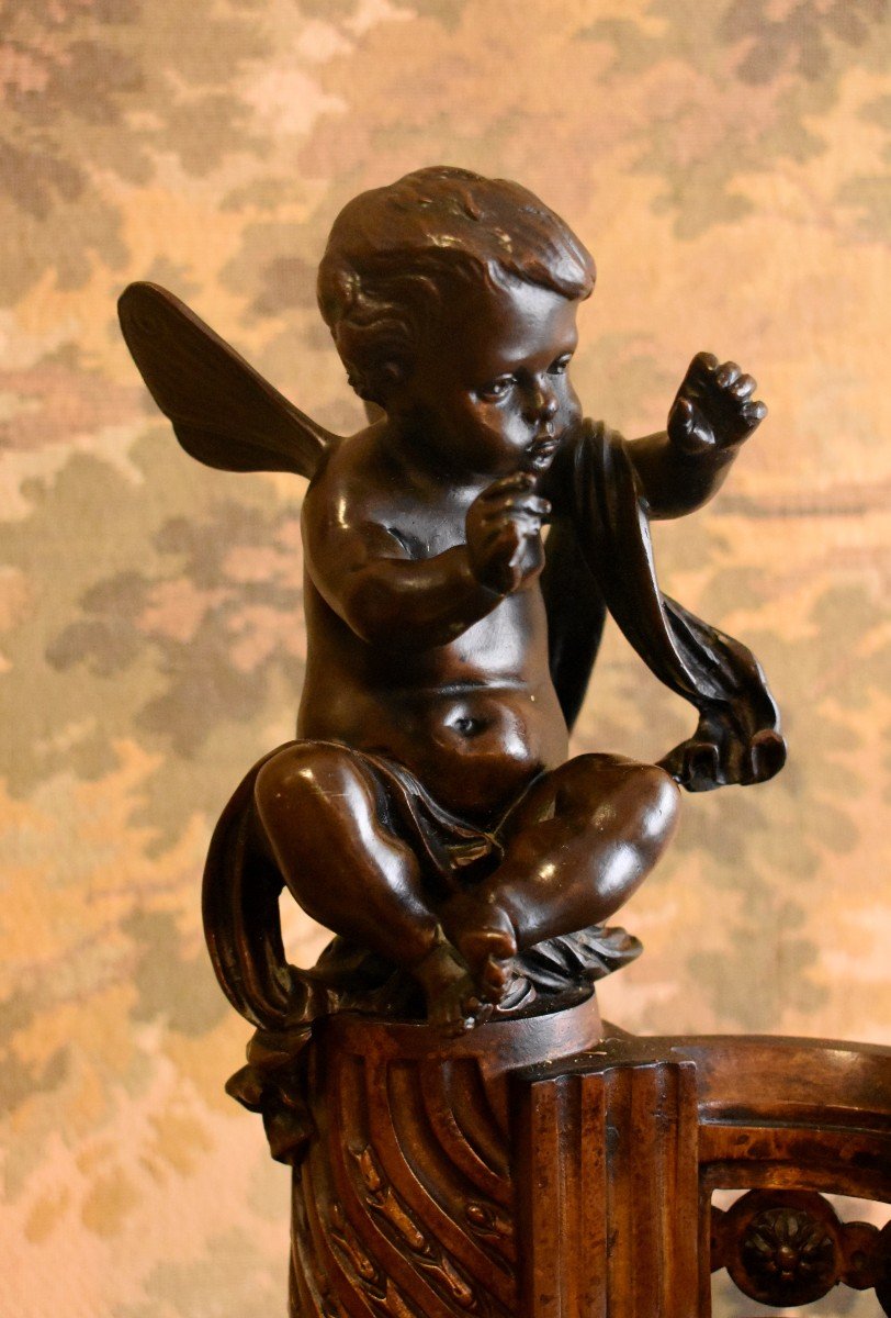 Pair Of Bronze Andirons With Double Patina, Putti Heated By The Fire, Cherubs, Cherubs, Louis XVI Style, XIXth Century, Butterfly Wings-photo-2