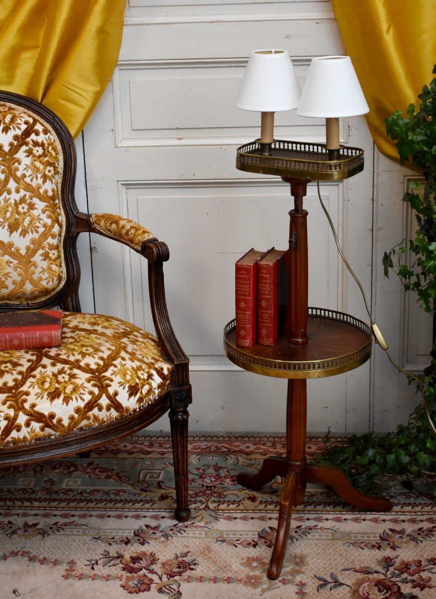 Pedestal Door - Light, Floor Lamp, Louis XVI Style Side Table, Mahogany And Brass-photo-2