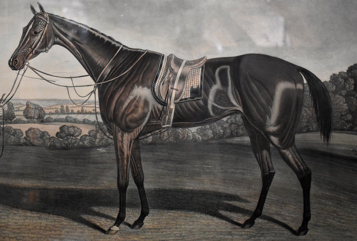"Blink Bonny" Grande Gravure Anglaise , Cheval de Course , Sport Equestre, Angleterre, Epoque Victorienne, XIX eme-photo-2