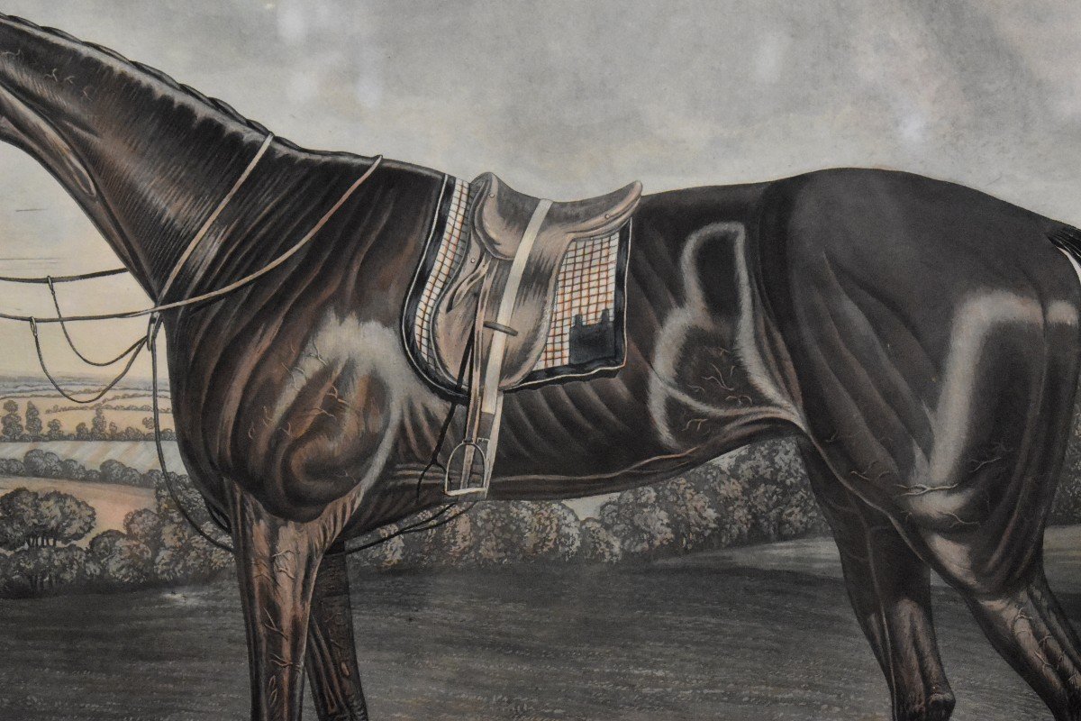 "Blink Bonny" Grande Gravure Anglaise , Cheval de Course , Sport Equestre, Angleterre, Epoque Victorienne, XIX eme-photo-4
