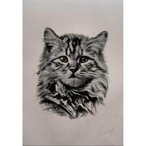 Portrait De Chat, Etching, Aquatint Signed, Engraving, 20th Century