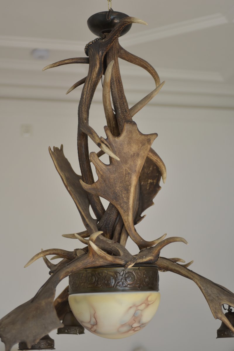 Large Chandelier In Deer Antlers. Art Nouveau-photo-2