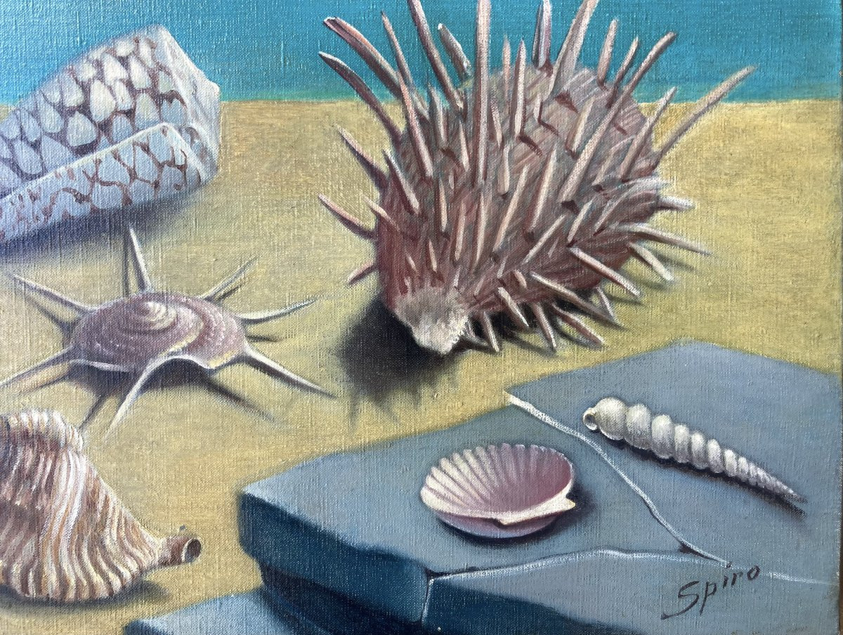 Georges SPIRO (1909-1999)   - Coquillages-photo-4