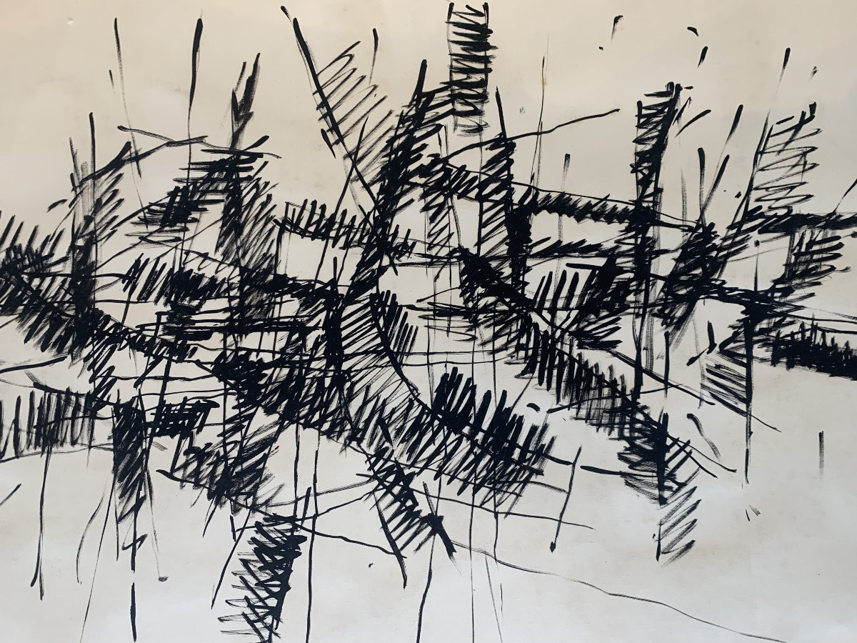 Jacques Germain. Very Large Double-sided Ink And Charcoal Drawing - Circa 1950-photo-5