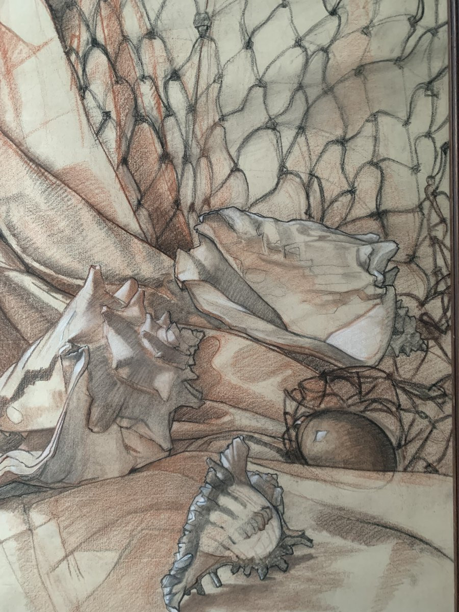 Seashells In A Net, Large Drawing 1978 - Surrealism - Hyperrealism-photo-2