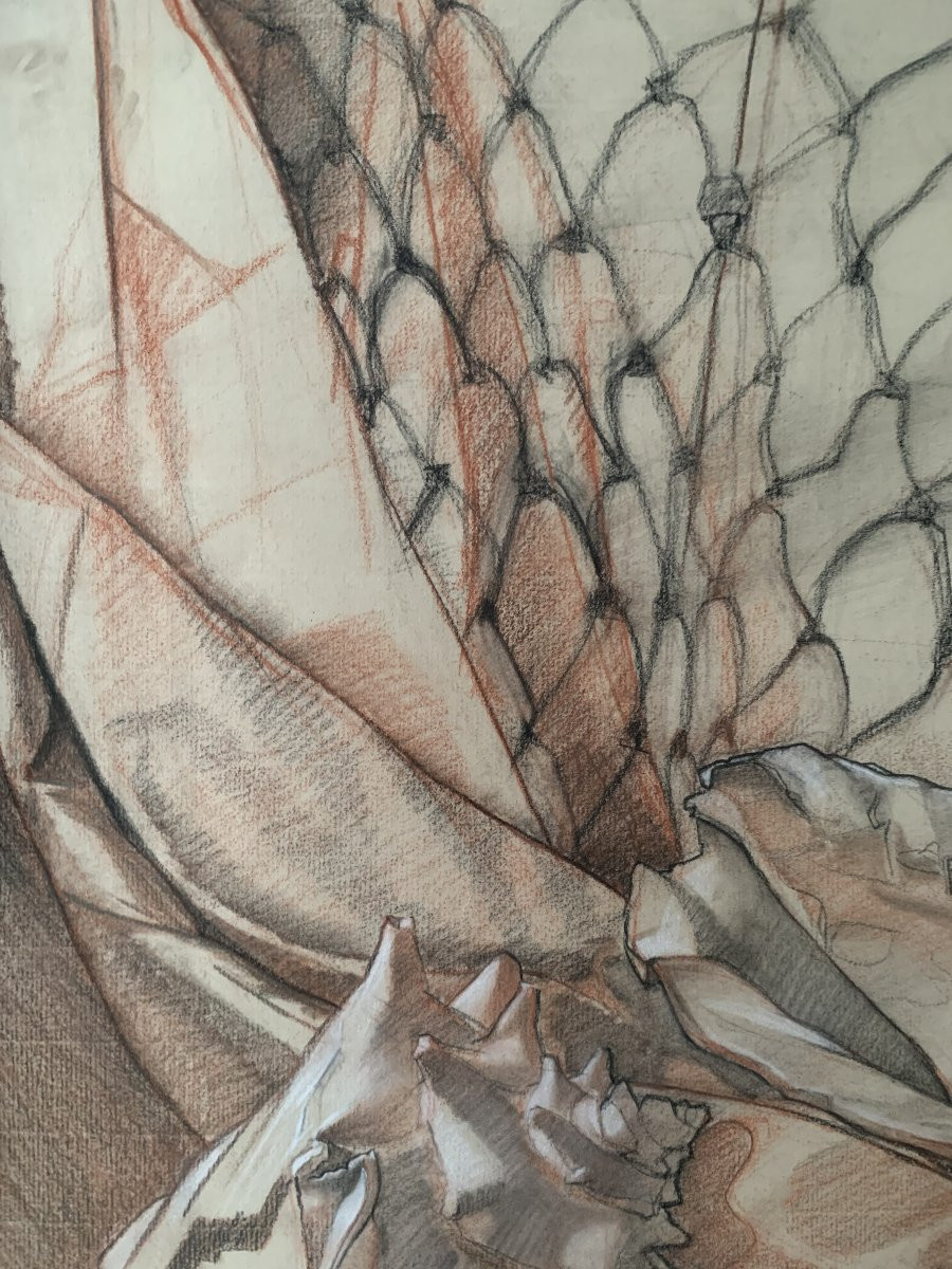 Seashells In A Net, Large Drawing 1978 - Surrealism - Hyperrealism-photo-3