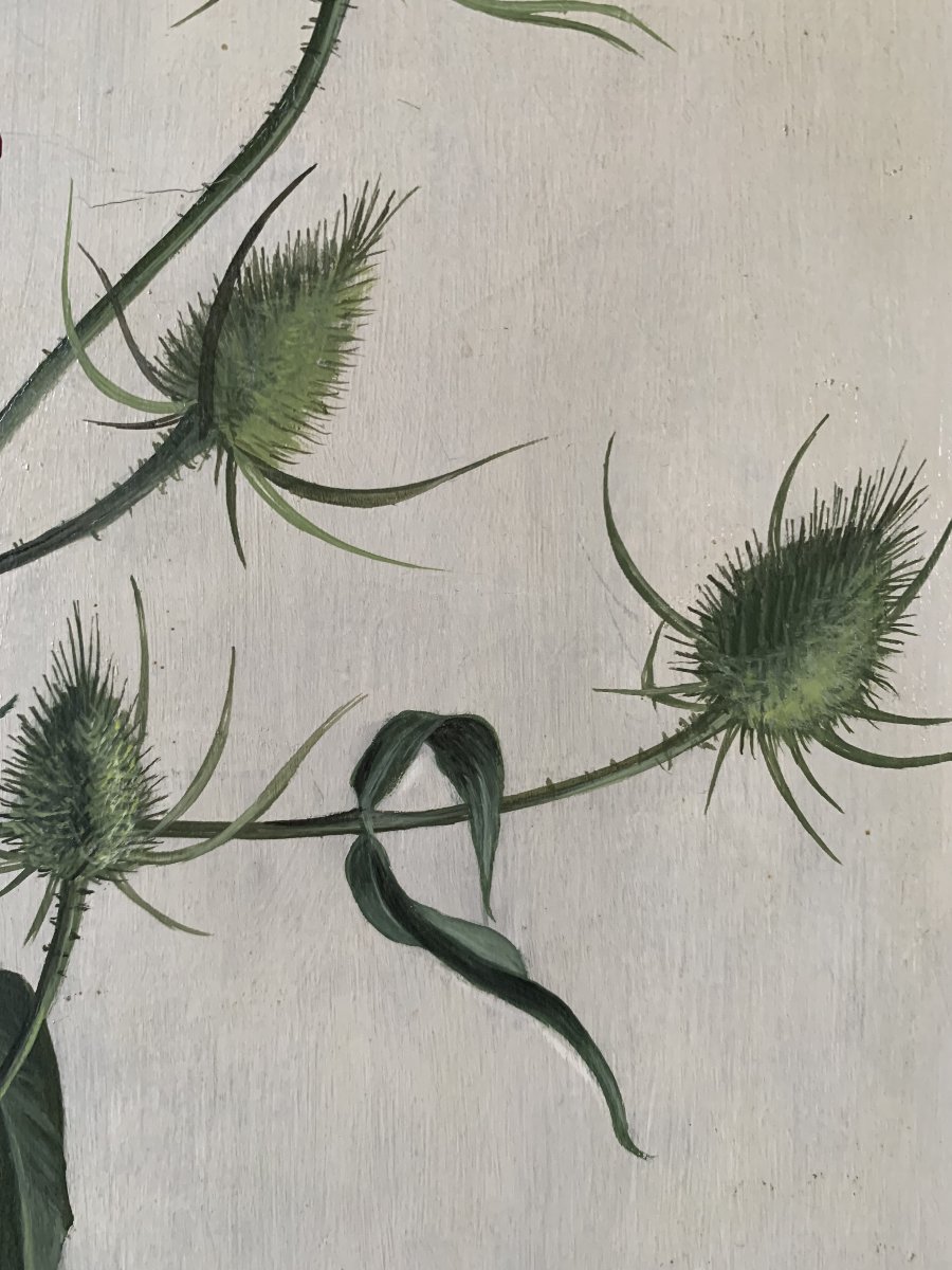Frédéric VIDALENS - huile sur toile - Hyperréalisme - Nouvelle Objectivité - CHARDON LYS-photo-1