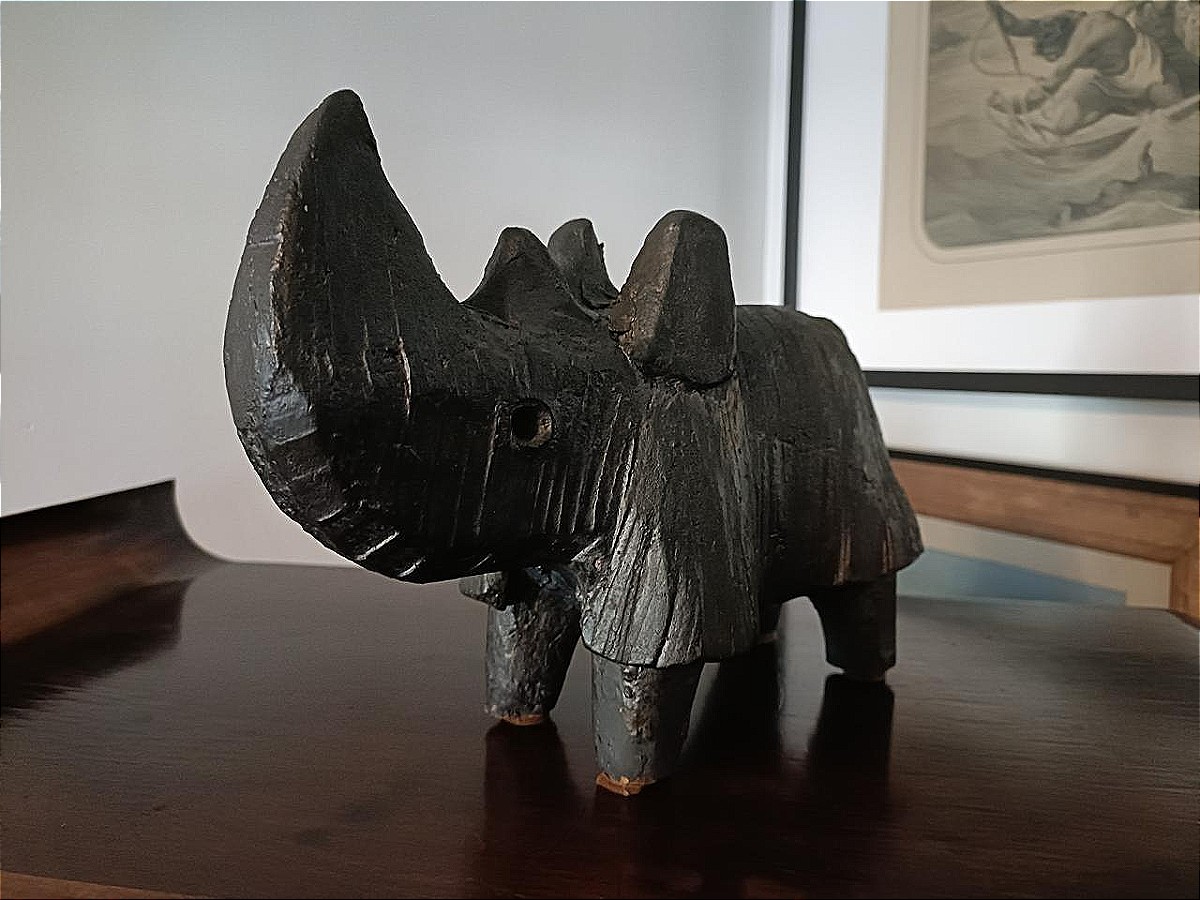 Dominique Pouchain - Rhinocéros-photo-4