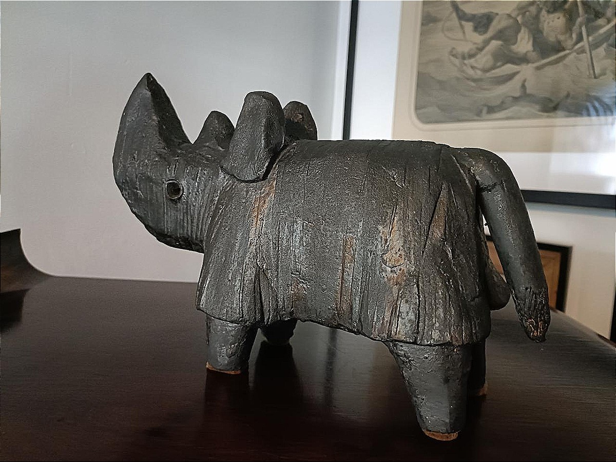 Dominique Pouchain - Rhinocéros-photo-3