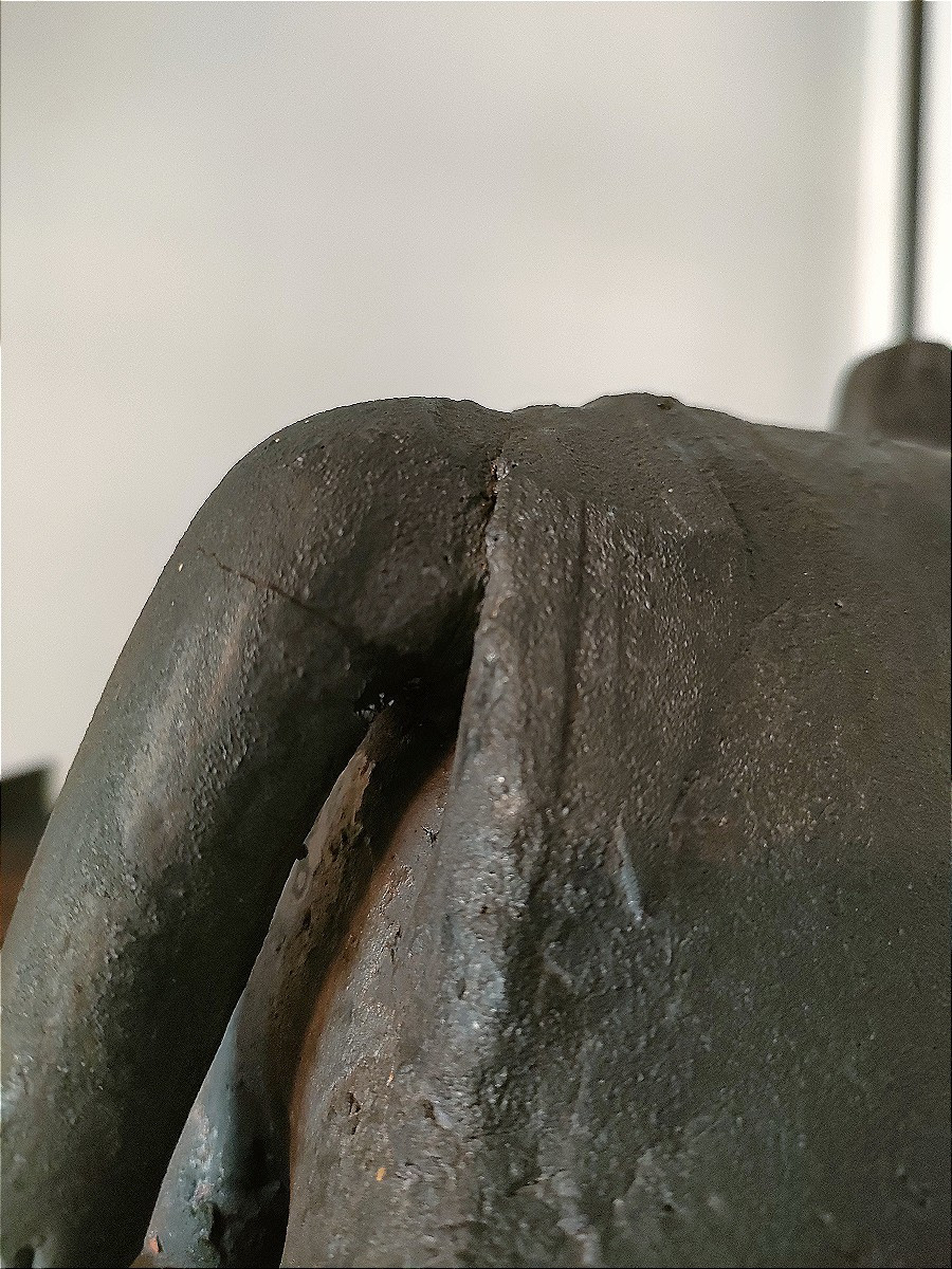 Dominique Pouchain - Rhinocéros-photo-4