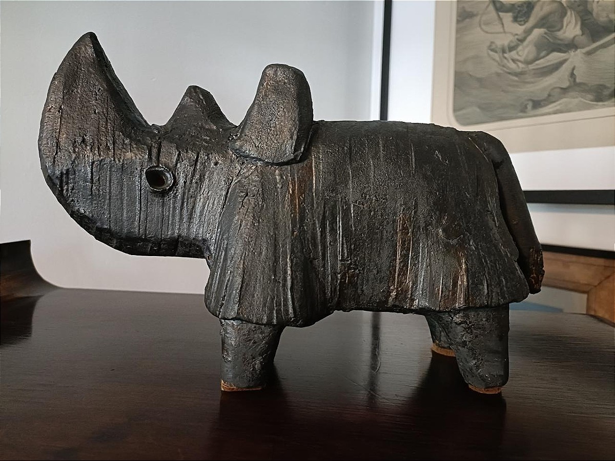 Dominique Pouchain - Rhinocéros