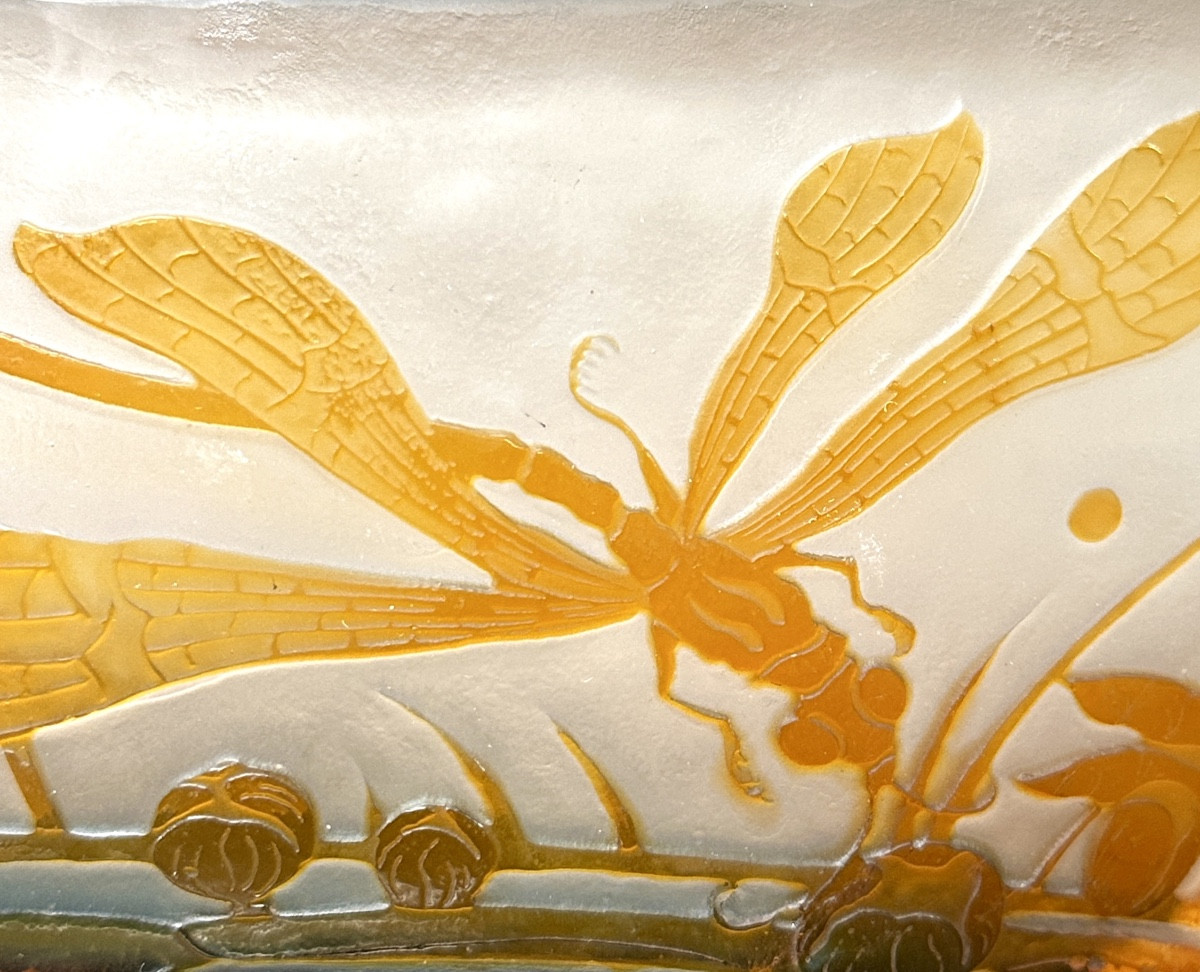 émile Gallé - Large Bowl Decorated With A Dragonfly And Water Lilies, Art Nouveau Glass Paste-photo-1