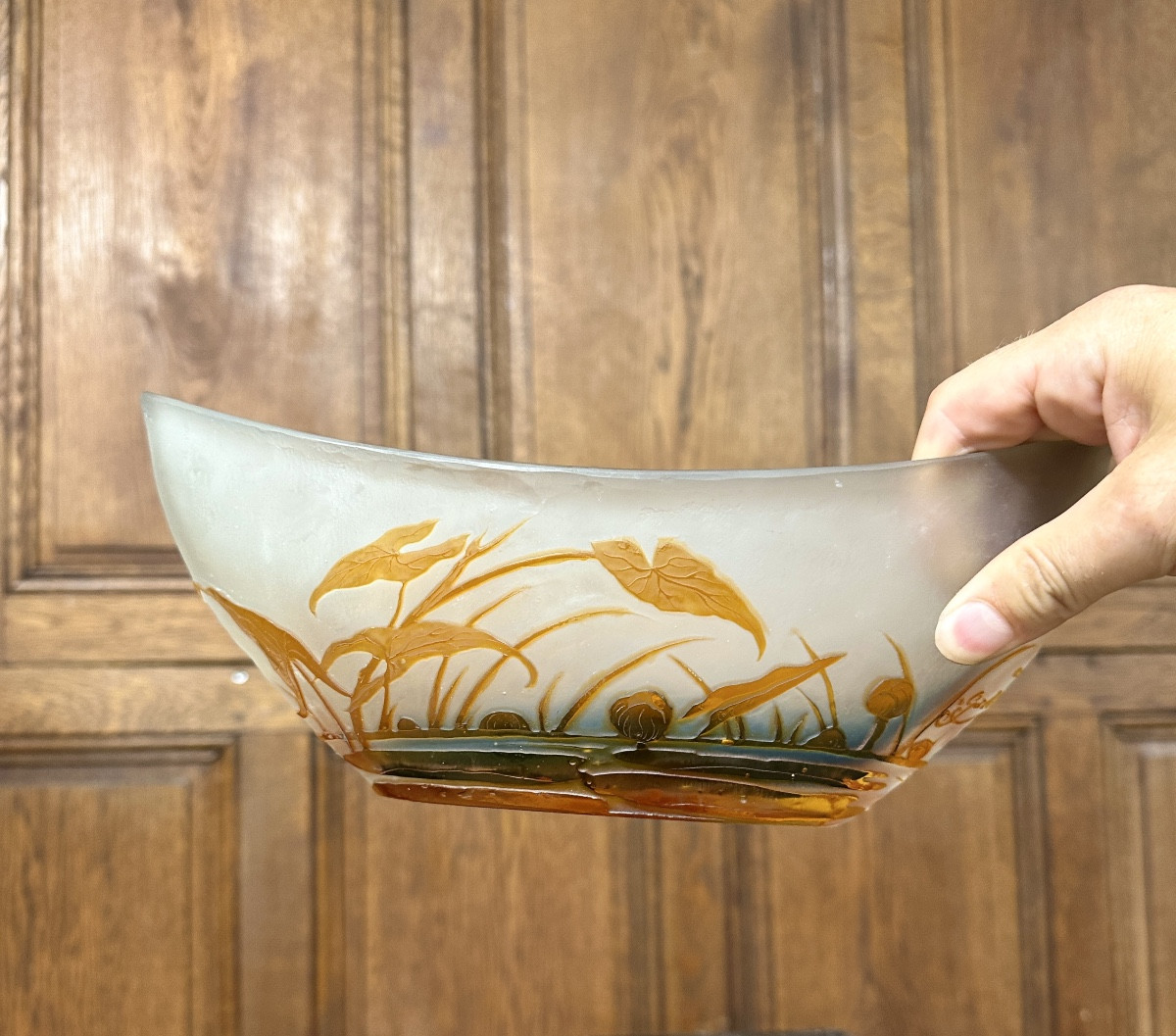 émile Gallé - Large Bowl Decorated With A Dragonfly And Water Lilies, Art Nouveau Glass Paste-photo-3
