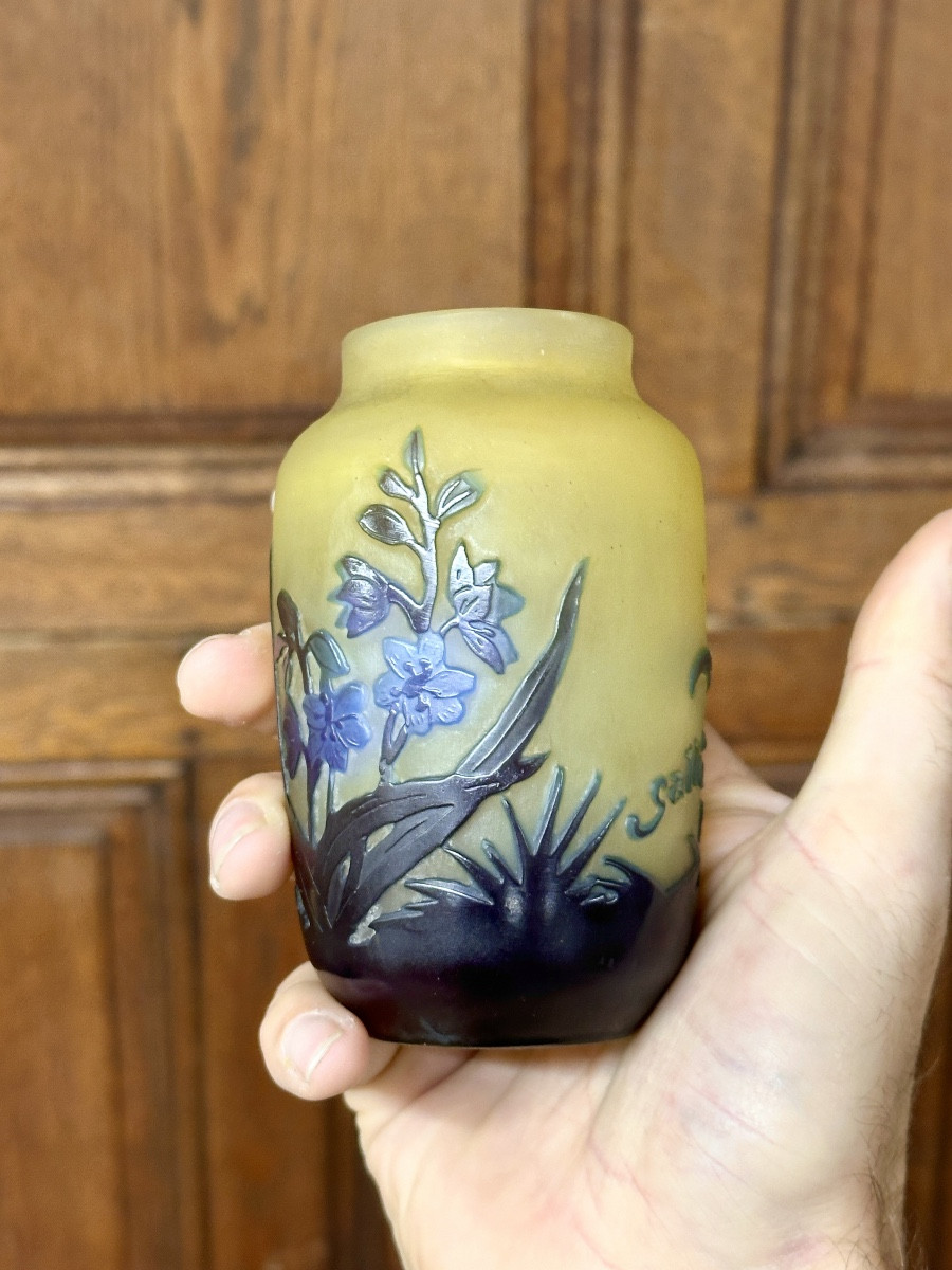 Emile Gallé  - Petit vase à décor de jacinthes en verre multicouche, époque Art Nouveau -photo-4