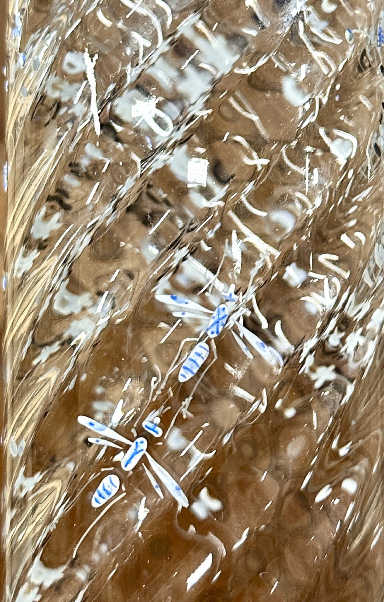 Cristallerie Emile Gallé  - Vase émaillé à décor de myosotis libelulles, époque Art Nouveau -photo-4