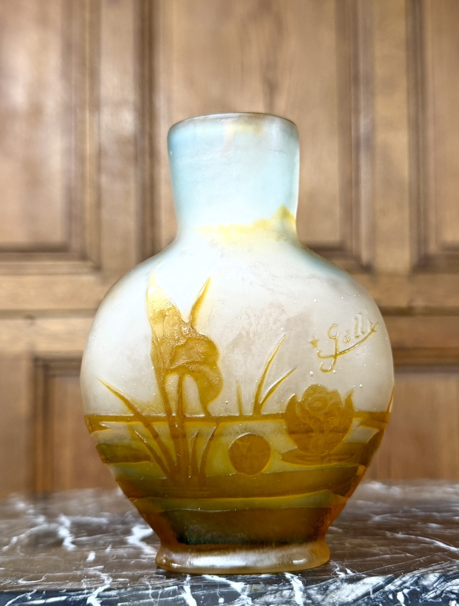 Émile Gallé - vase de forme gourde à la libellule, époque Art Nouveau -photo-4