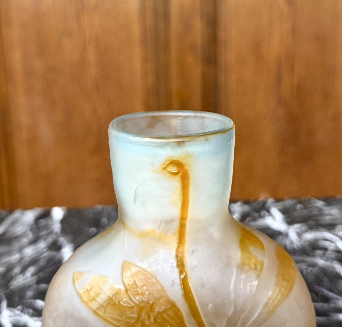 Émile Gallé - vase de forme gourde à la libellule, époque Art Nouveau -photo-6