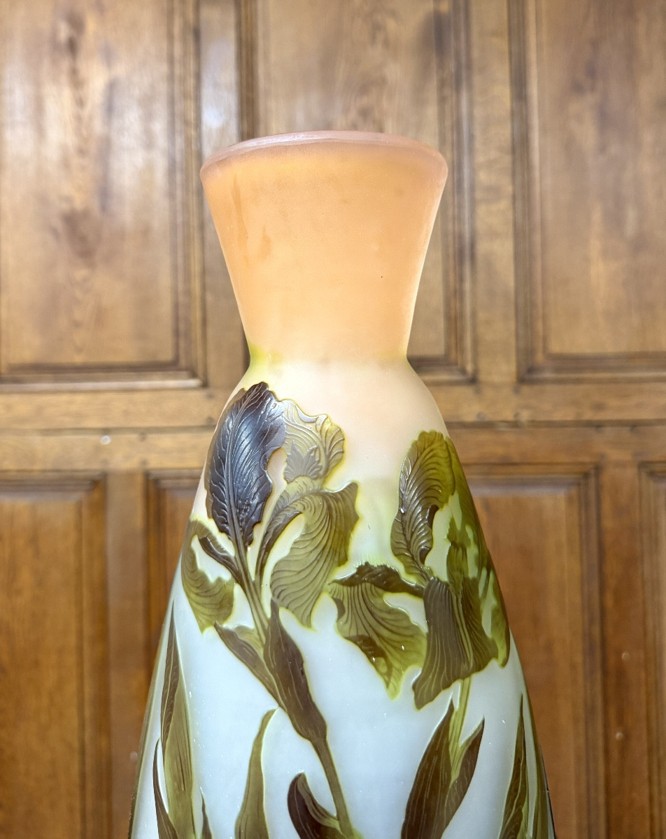 émile Gallé - Large Vase With Marsh Irises In Multi-layered Glass. Art Nouveau Period-photo-2