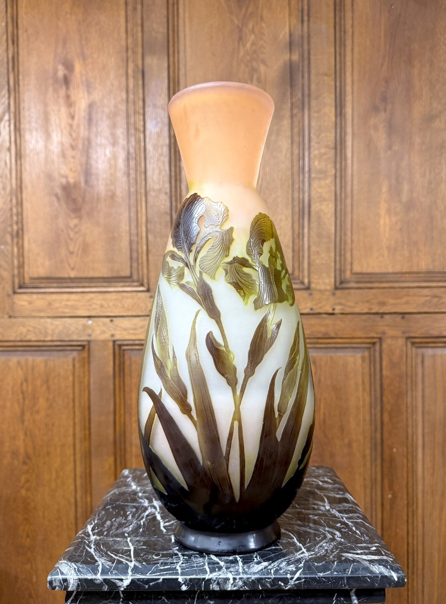 émile Gallé - Large Vase With Marsh Irises In Multi-layered Glass. Art Nouveau Period-photo-4