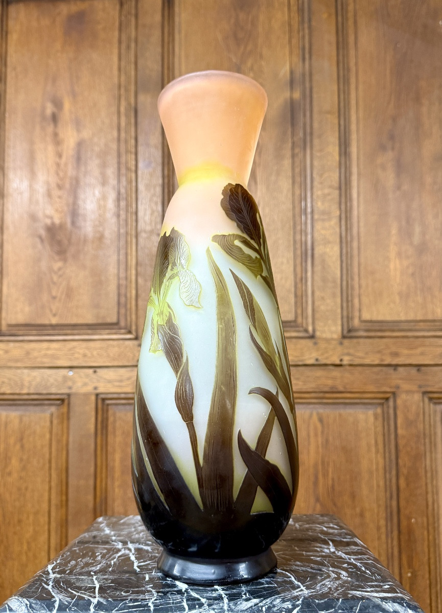 émile Gallé - Large Vase With Marsh Irises In Multi-layered Glass. Art Nouveau Period-photo-2
